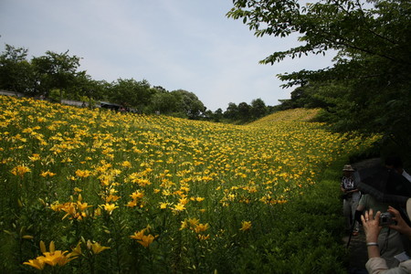 f:id:subetesuki08:20080607123732j:image