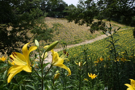 f:id:subetesuki08:20080607124529j:image