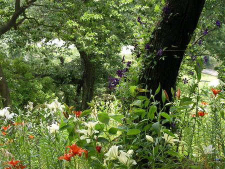 f:id:subetesuki08:20080607124715j:image