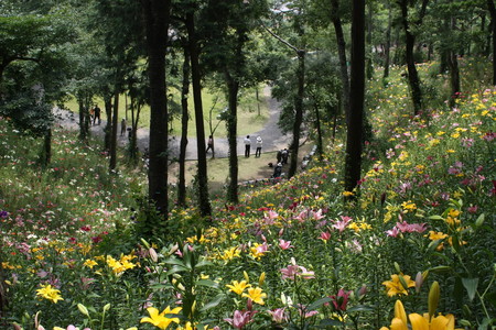 f:id:subetesuki08:20080607125235j:image