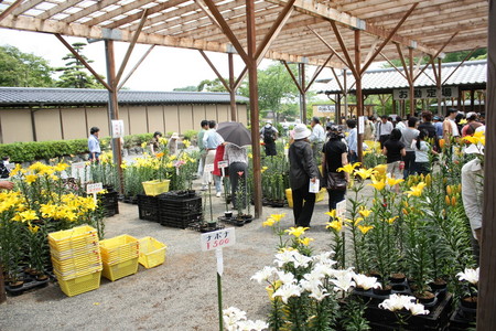 f:id:subetesuki08:20080607131112j:image