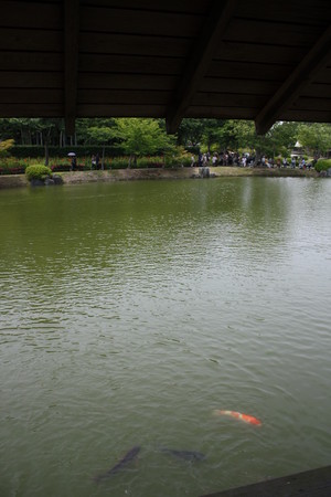 f:id:subetesuki08:20080607133205j:image