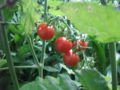 20080712182653