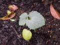 20100509165717