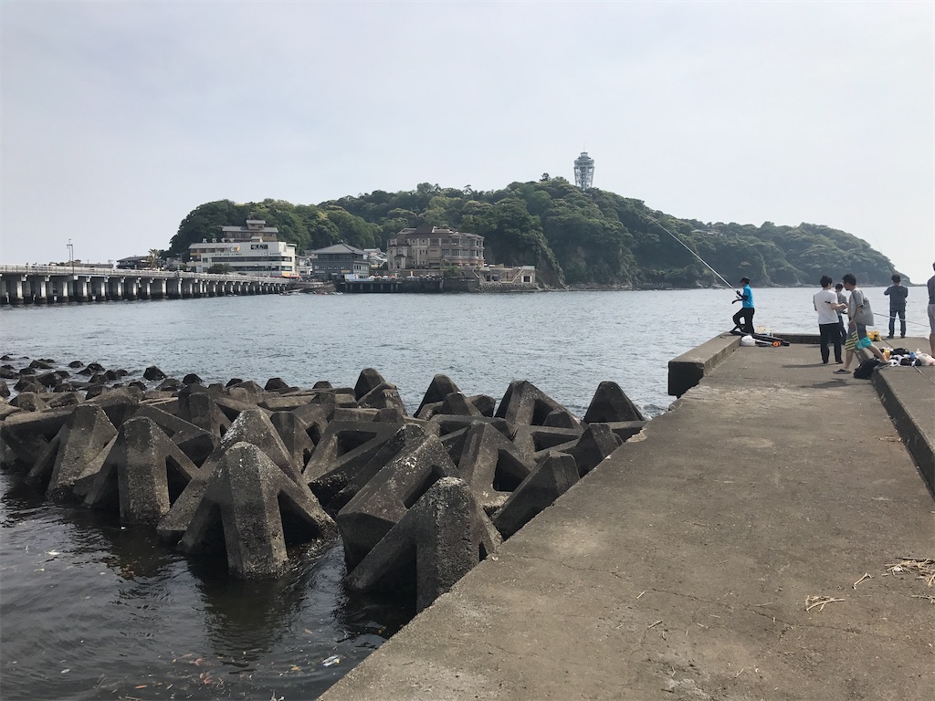 f:id:subetewokakeruaki:20200211200213j:image f:id:subetewokakeruaki:20200211200213j:image