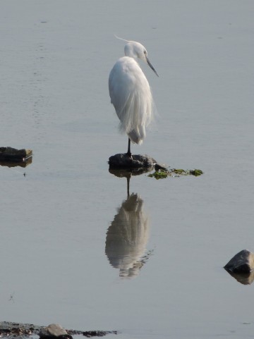 f:id:sublimelife:20160626222046j:plain