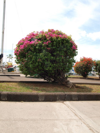 f:id:submission83:20090911090155j:image