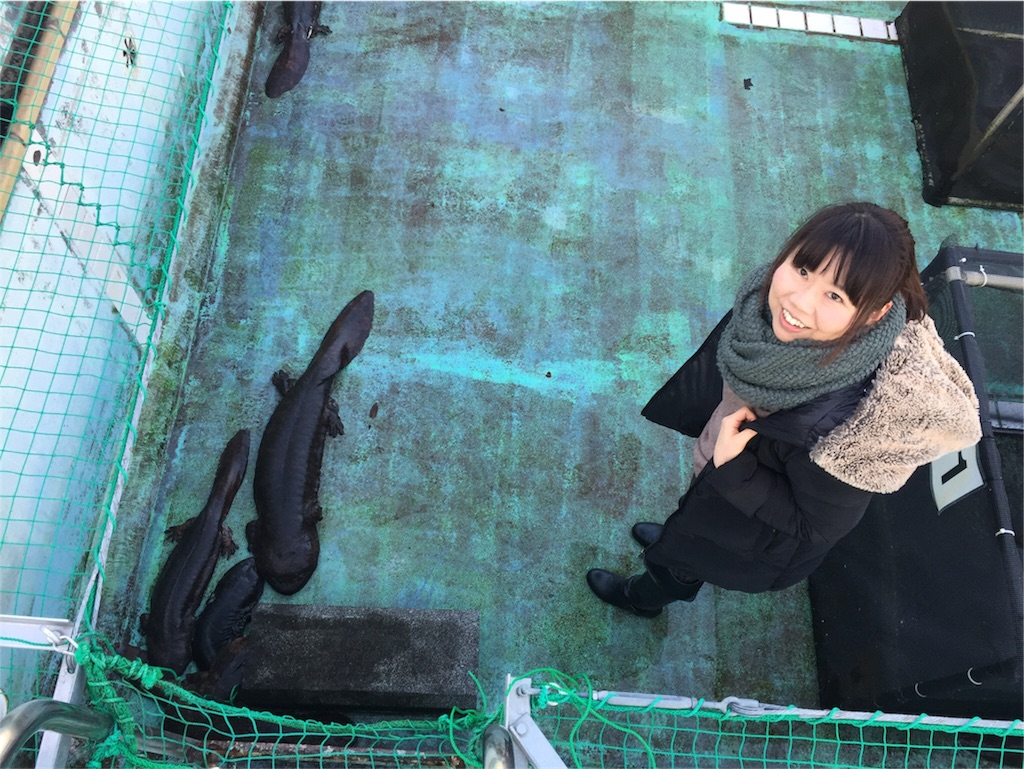 f:id:subrothers:20171230211417j:image