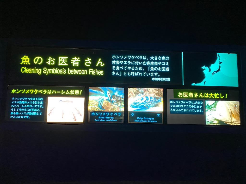 f:id:subrothers:20210328093703j:image f:id:subrothers:20210328093703j:image
