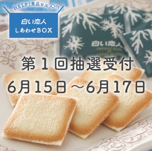 f:id:subselaph:20200614211011j:plain f:id:subselaph:20200614211011j:plain