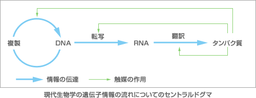 f:id:subtleblog:20201129121029g:plain