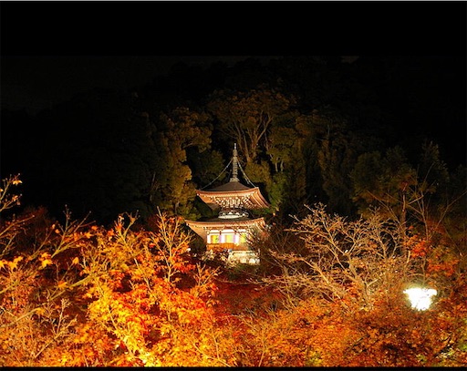 f:id:suburikuroinu:20221118225144j:image f:id:suburikuroinu:20221118225144j:image