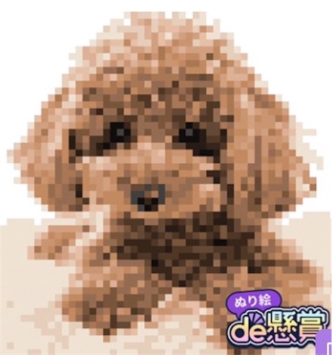 f:id:suburikuroinu:20240121233502j:image