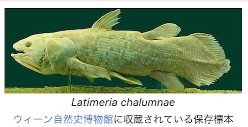 f:id:suburikuroinu:20240318234239j:image f:id:suburikuroinu:20240318234239j:image
