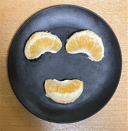 f:id:suburikuroinu:20260129204524j:image f:id:suburikuroinu:20260129204524j:image