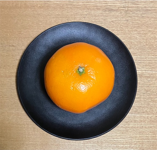 f:id:suburikuroinu:20260129204527j:image f:id:suburikuroinu:20260129204527j:image