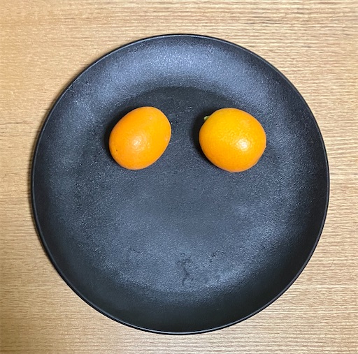 f:id:suburikuroinu:20260202234309j:image f:id:suburikuroinu:20260202234309j:image