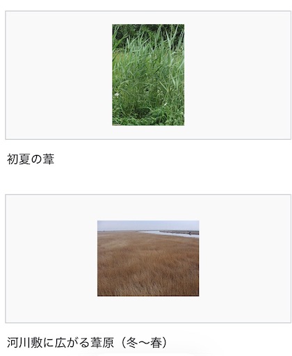 f:id:suburikuroinu:20260422182810j:image