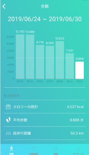 f:id:sucasamicasa:20190701073351p:plain