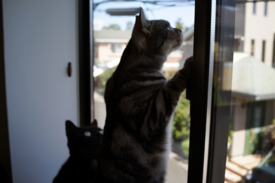 f:id:sucre_noir:20130930232508j:image