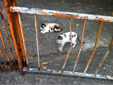 f:id:sudouman:20120829213831j:image