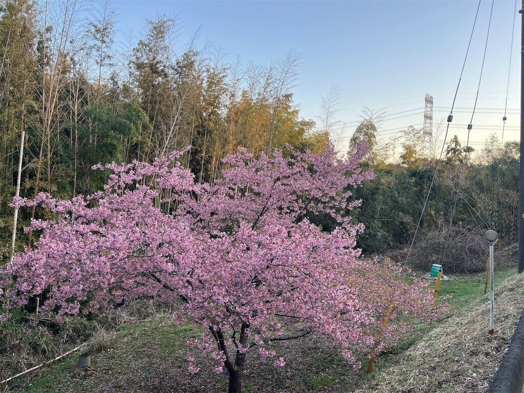 f:id:sudouman:20260305185100j:image