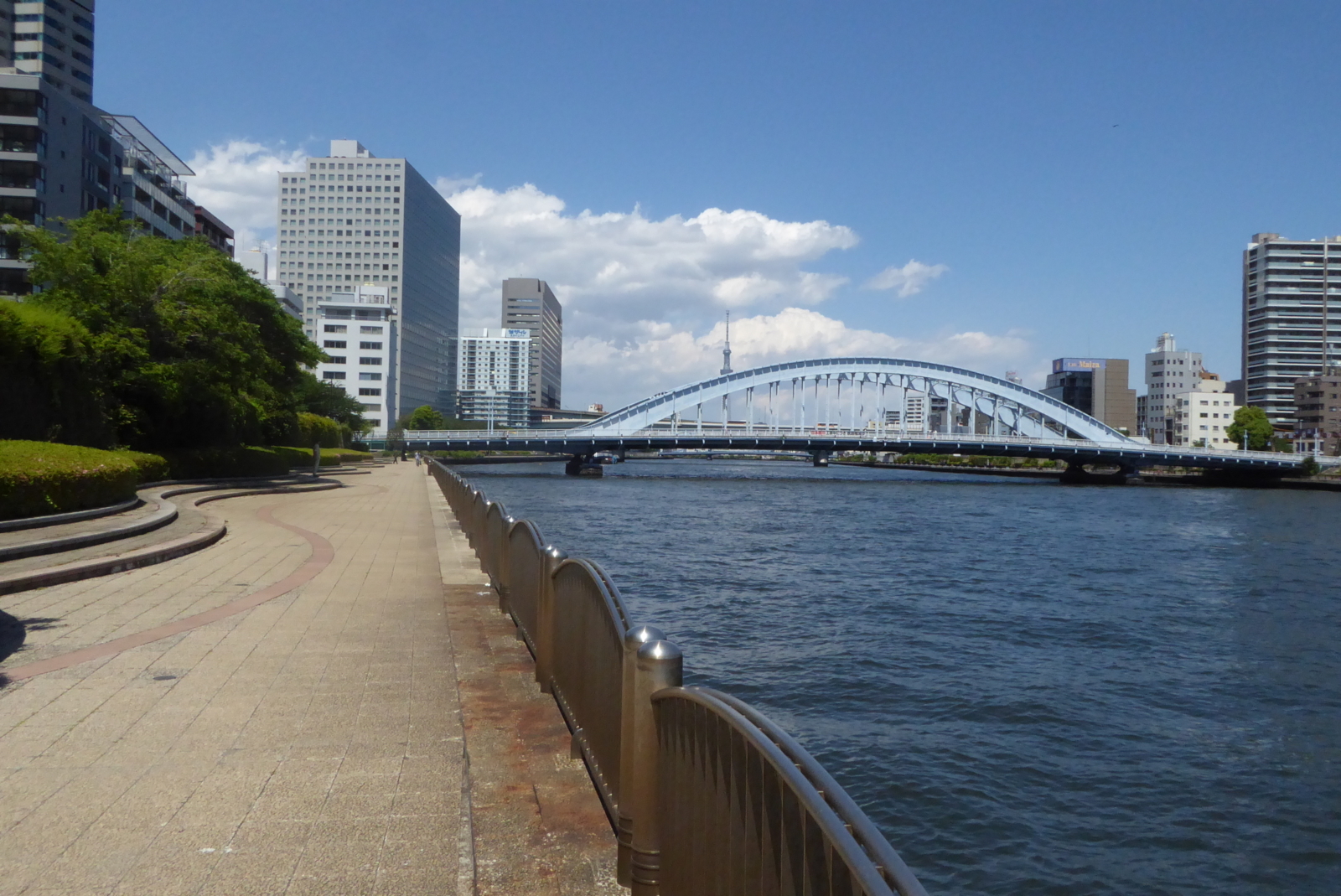 f:id:sue_vavava:20180611233812j:plain f:id:sue_vavava:20180611233812j:plain