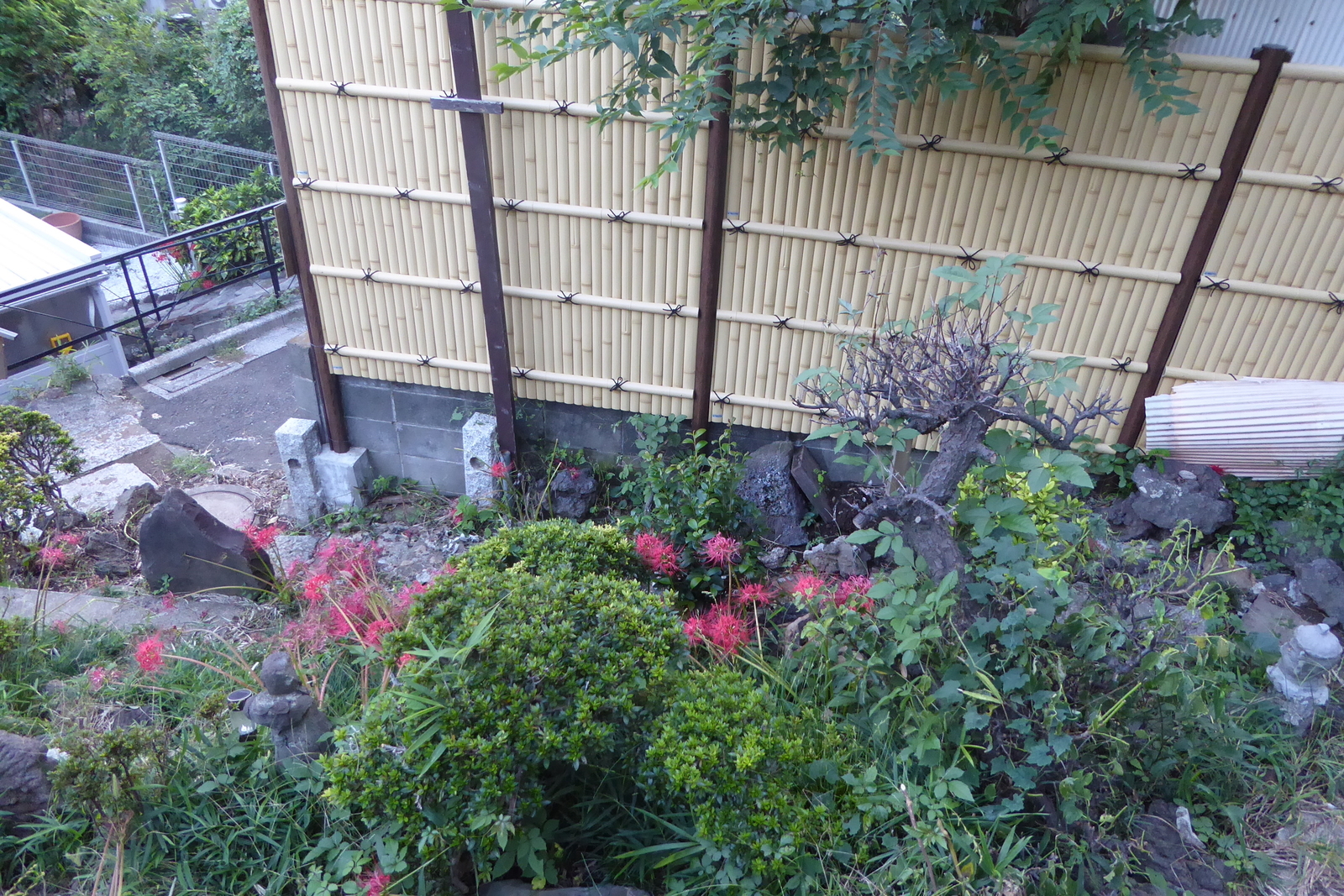 f:id:sue_vavava:20180926151640j:plain f:id:sue_vavava:20180926151640j:plain
