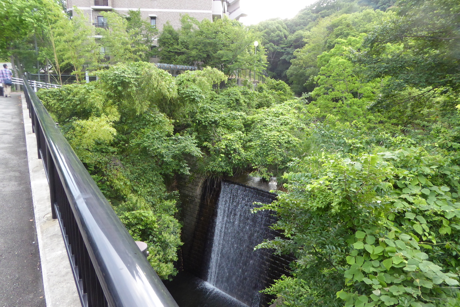 f:id:sue_vavava:20180926222946j:plain f:id:sue_vavava:20180926222946j:plain