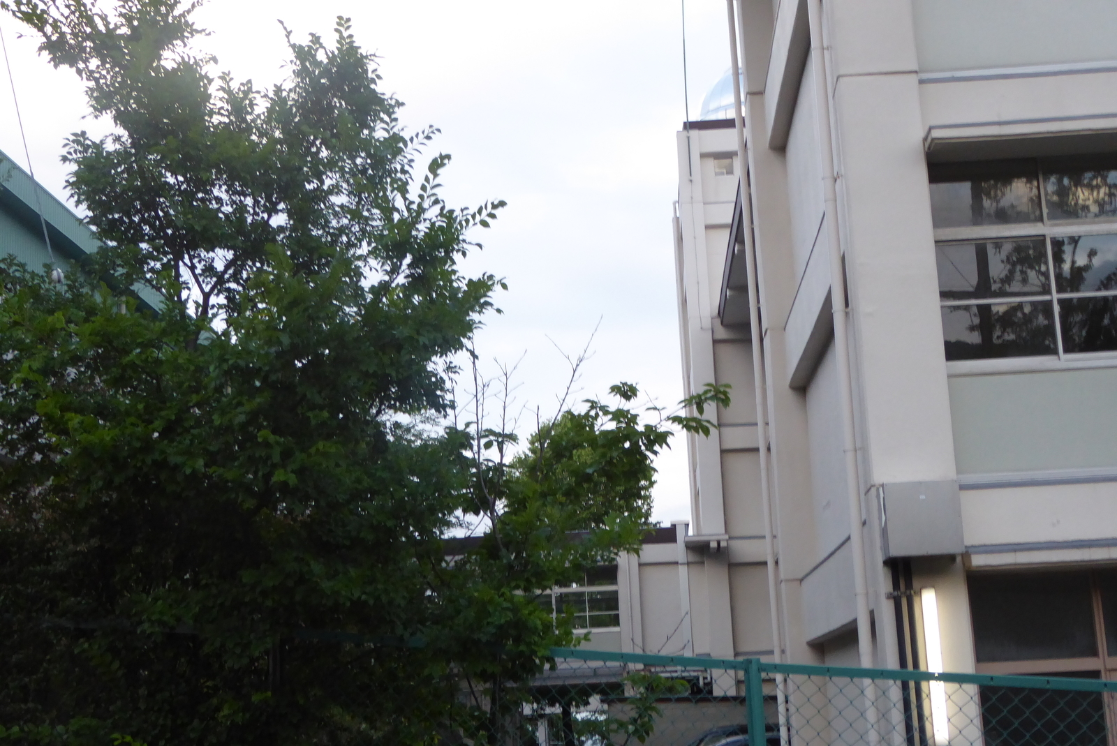 f:id:sue_vavava:20180926222950j:plain f:id:sue_vavava:20180926222950j:plain
