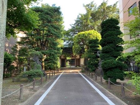 f:id:suenuko:20190729125848j:plain