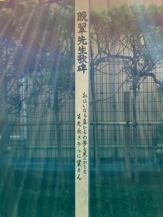 f:id:suenuko:20190731102700j:plain