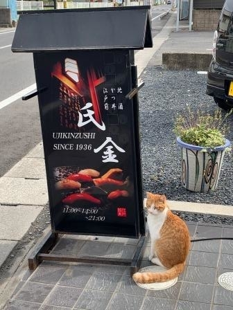 f:id:suenuko:20191126211105j:plain