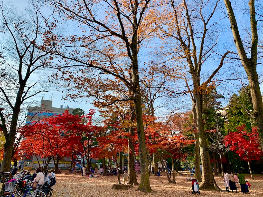 f:id:suenuko:20201119221646j:plain