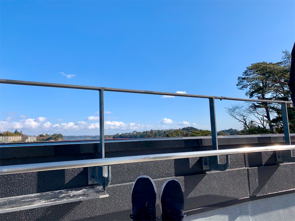 f:id:suenuko:20210205082507j:image