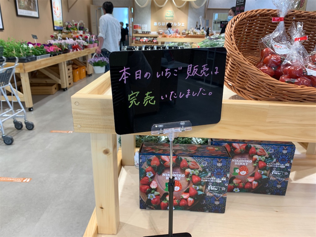 f:id:suenuko:20210512172711j:image