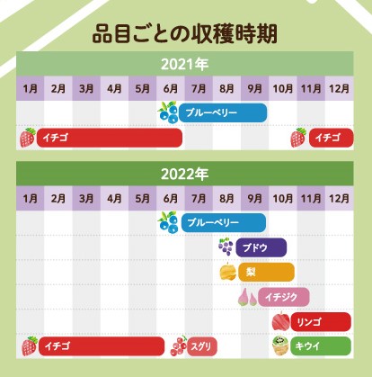 f:id:suenuko:20210519191033j:plain