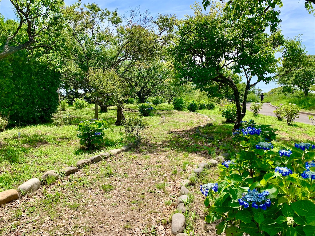 f:id:suenuko:20220703183400j:image