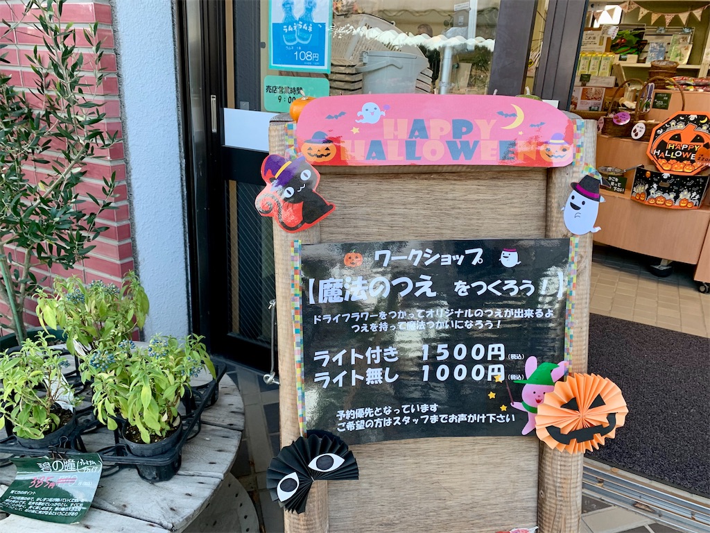 f:id:suenuko:20221027225059j:image