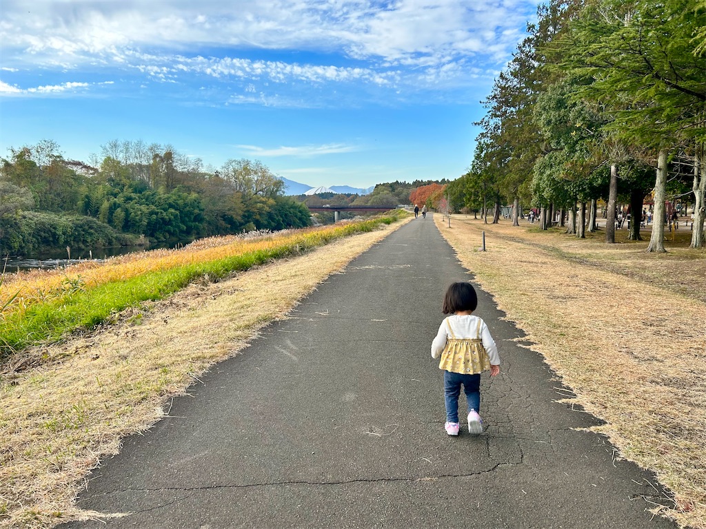 f:id:suenuko:20231123194149j:image