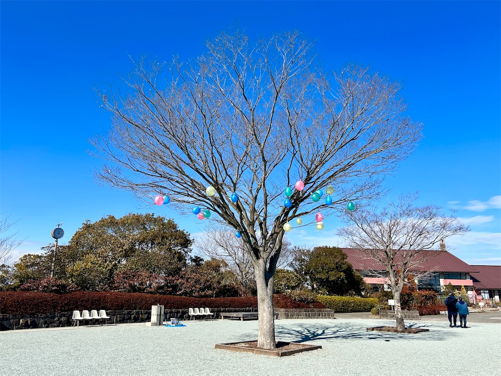 f:id:suenuko:20240210141845j:image