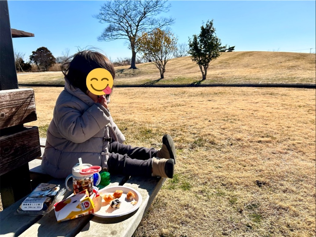 f:id:suenuko:20240210142648j:image