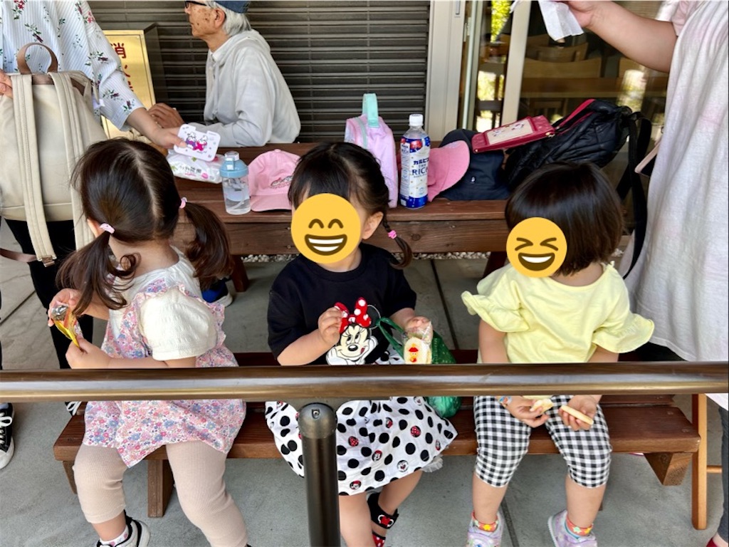 f:id:suenuko:20240518220405j:image