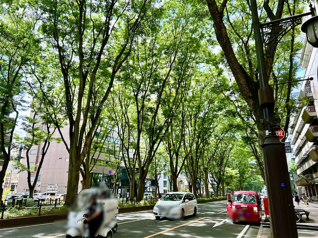f:id:suenuko:20240810141822j:image