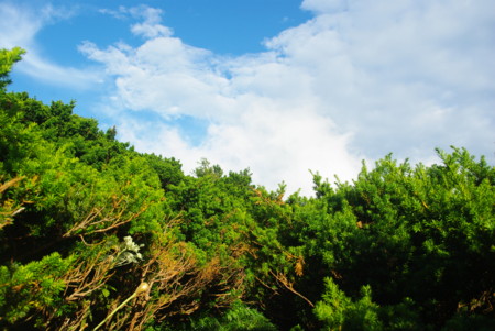 f:id:suesawa:20130720174733j:image:w360