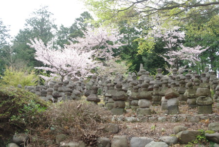 f:id:suesawa:20140413112528j:image:w360