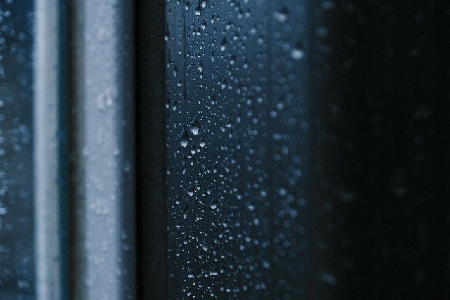 f:id:suexxsf:20210705191949j:image
