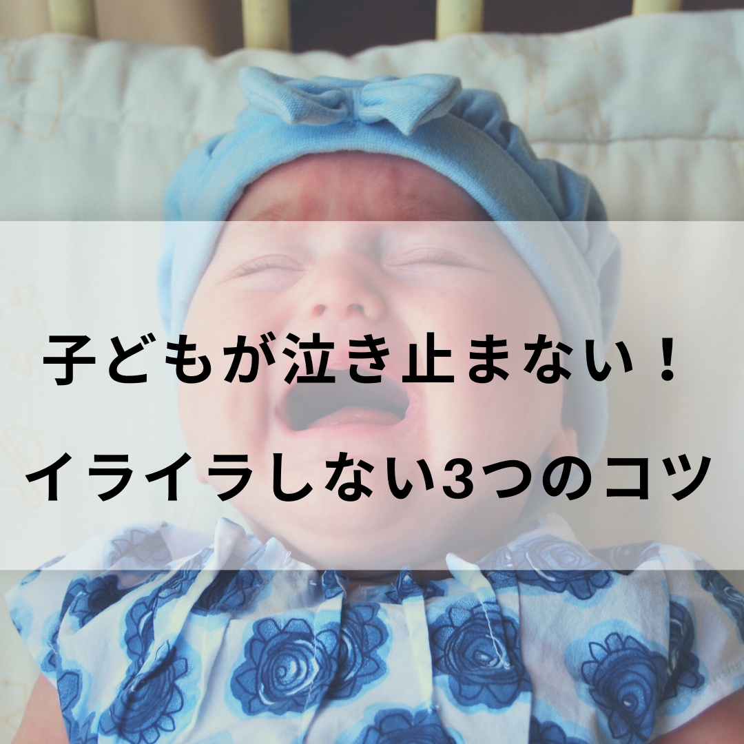 f:id:suga-nekoneko:20200315210612p:plain f:id:suga-nekoneko:20200315210612p:plain