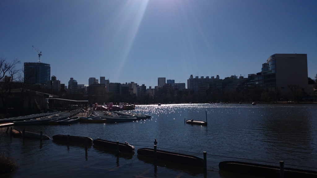 f:id:suga-satiko:20170122161435j:plain f:id:suga-satiko:20170122161435j:plain