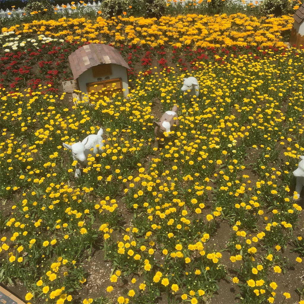f:id:sugachannel:20170504142334j:image